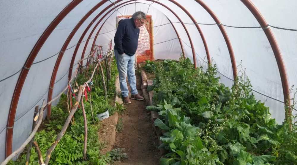 Invernaderos: las familias rionegrinas se preparan para la siembra de la nueva temporada