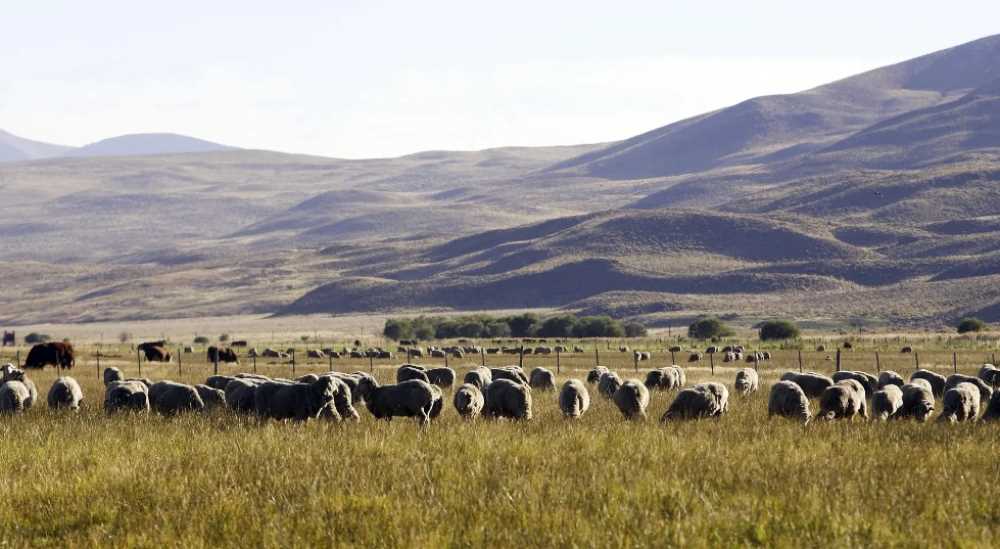 Región Sur: Provincia refuerza el arraigo y brinda beneficios a productores