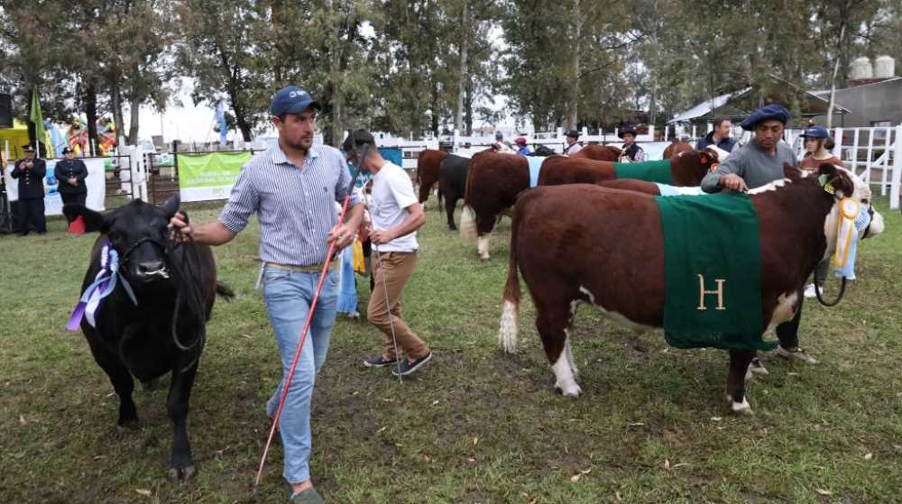 Récords y genética de élite: así cerró Río Negro sus exposiciones rurales