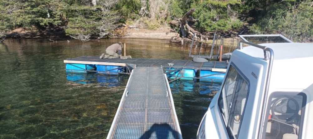 Secuestro de un muelle ilegal en el Brazo Tristeza del lago Nahuel Huapi