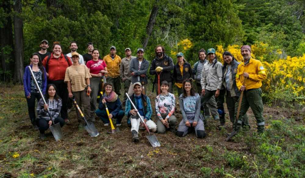 Actividad de restauración ecológica con control de especie exótica invasora