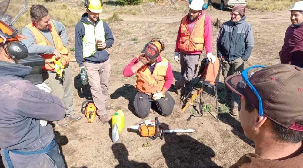 Curso sobre motosierras entusiasmó a productores y operarios en Bariloche