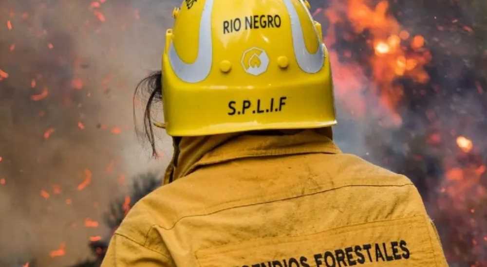 SPLIF colabora para combatir incendios en el Parque Nahuel Huapi