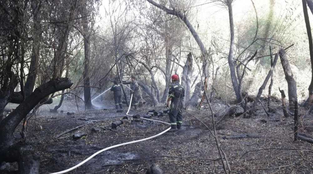 Continúa el trabajo para controlar el incendio en El Bolsón