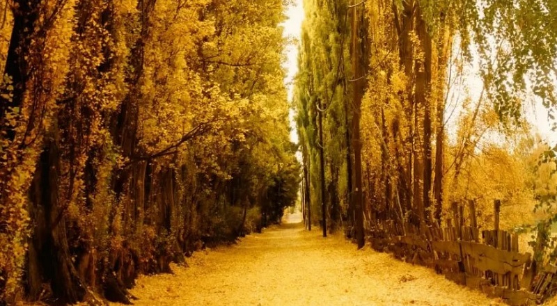 Descubrí el otoño de Dina Huapi: color, naturaleza y tranquilidad