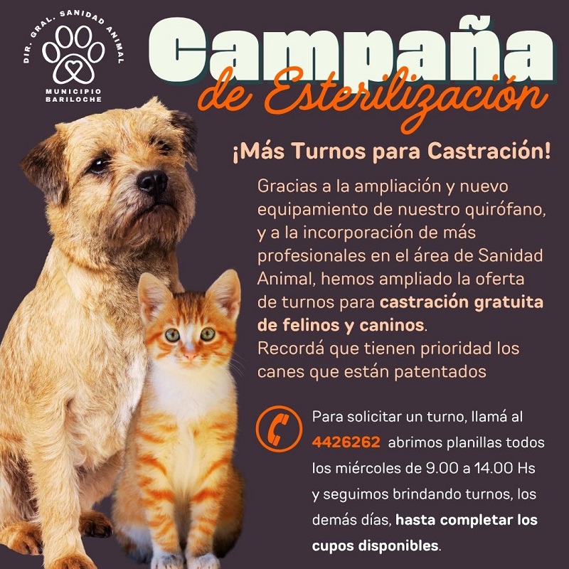 Más turnos, más cuidado: Bariloche refuerza su compromiso con la salud animal