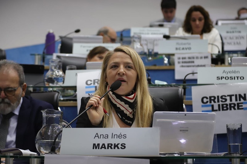 El pedido de libertad a Cristina presente en el recinto de la Legislatura