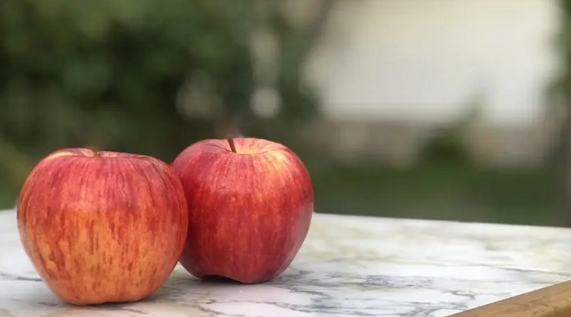 Río Negro transforma el orujo de manzana en oportunidad productiva