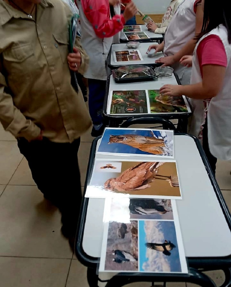 Compromiso con la Conservación: “Guardianes del Bosque” avanza en las aulas de Villa La Angostura
