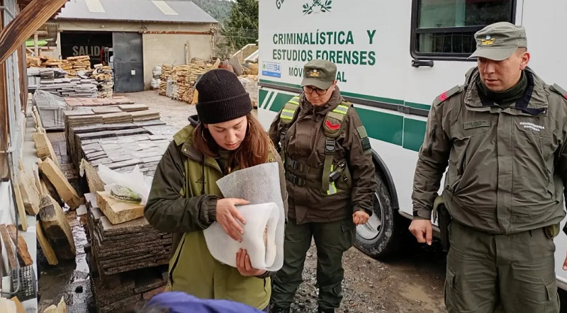 Provincia rescató material fósil en Bariloche