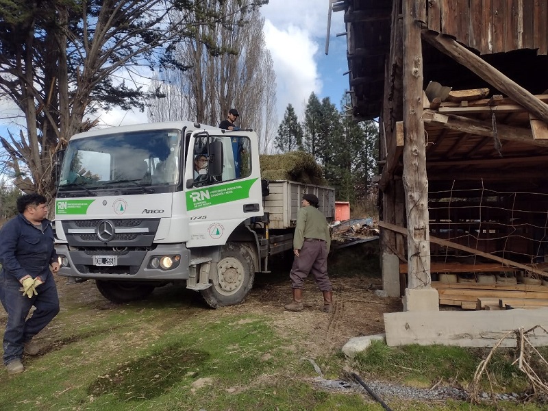 Río Negro distribuye forraje a productores afectados por los incendios