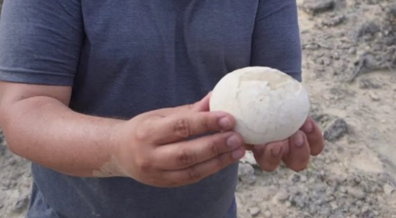 Una expedición cretácica dejó hallazgos de más de 70 millones de años