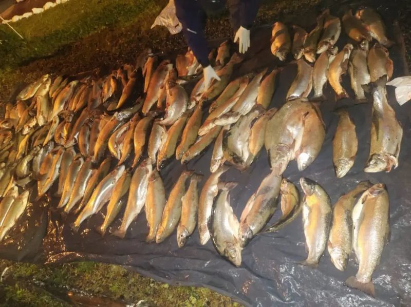 Prodecimiento por pesca furtiva en Seccional Limay