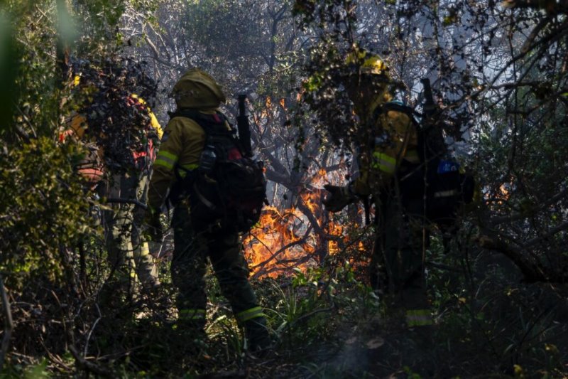 Incendio en el cerro Otto: foco contenido y operativo en etapa de guardia