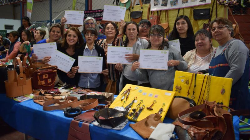 CapacitArte invita a los cierres de talleres en Fernández Oro y Bariloche